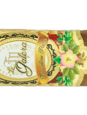 La Galera 1936 Box Pressed Pegador - Blind Cigar Review