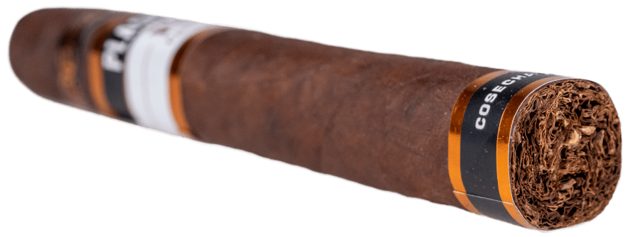 Plasencia Cosecha 149 Azacualpa - Blind Cigar Review