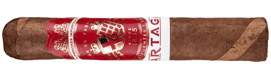 Partagas Añejo Petit Robusto - Blind Cigar Review