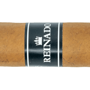 Reinado C29 - Blind Cigar Review