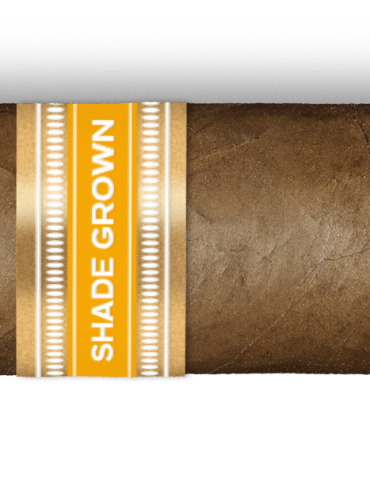 El Rey del Mundo Shade Grown to Launch in July - Cigar News