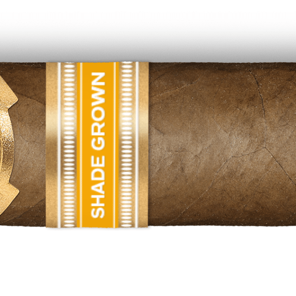 El Rey del Mundo Shade Grown to Launch in July - Cigar News