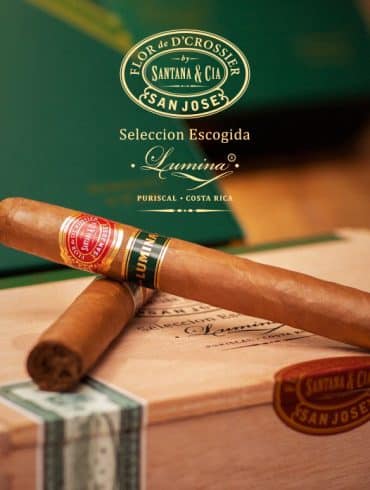Pure Aroma Announces Flor de D’Crossier Seleccion Escogida Lumina - Cigar News