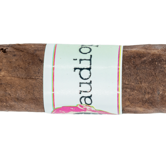 Emilio Audiophile Toro - Blind Cigar Review