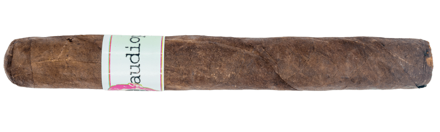 Emilio Audiophile Toro - Blind Cigar Review