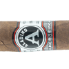JRE Aladino Fuma Noche - Blind Cigar Review