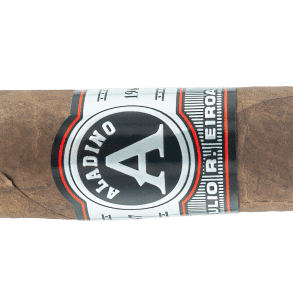 JRE Aladino Fuma Noche - Blind Cigar Review