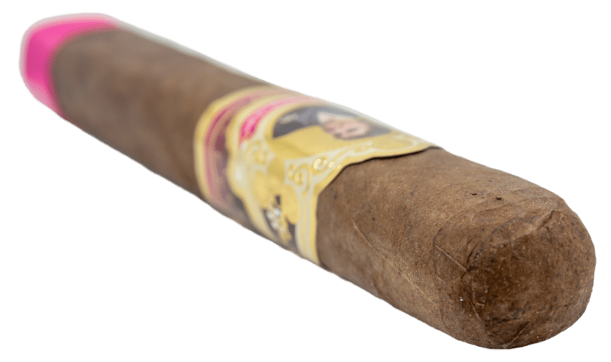 Protocol Phoebe Couzins Maduro - Blind Cigar Review